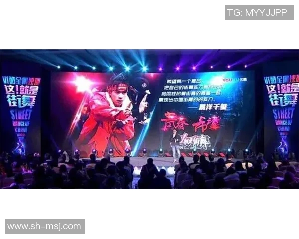 武汉街舞队团队协作表现的数据分析与优化策略探讨