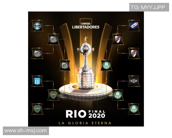 博卡青年对阵巴西竞技的精彩赛程安排与赛事分析