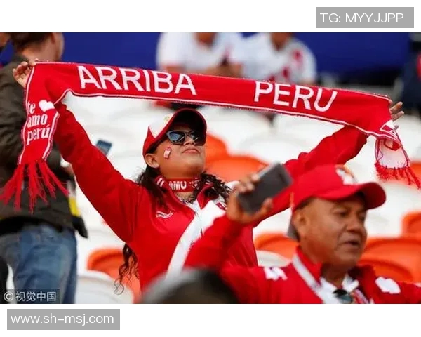 秘鲁与丹麦半场数据分析揭示比赛走势与关键表现