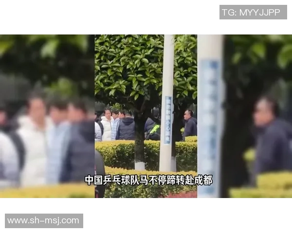 成都乒乓球队技术争议引发热议球迷与专家各执己见探讨技战术发展MBA 成都乒乓球队技术争议引发热议球迷与专家各执己见探讨技战术发展MBA