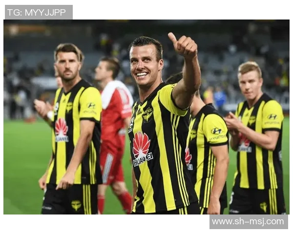 2019年惠灵顿凤凰与墨尔本城的精彩对决回顾与分析