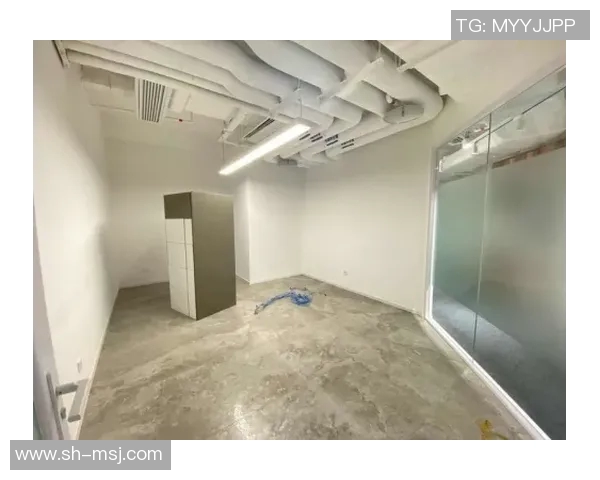 北京极限运动队快攻策略解析与热点趋势探讨