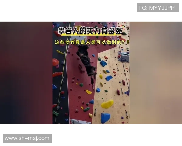 成都攀岩队防反策略分析与比赛表现评估探讨MBA