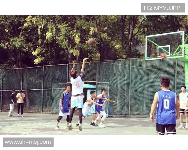 明星篮球合照展现球场魅力与友谊的完美结合，回顾经典瞬间与团队精神