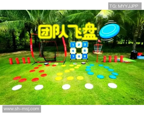 西安飞盘队引发的意识争议与运动文化的深层探讨